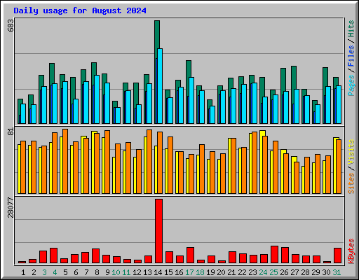 Daily usage for August 2024
