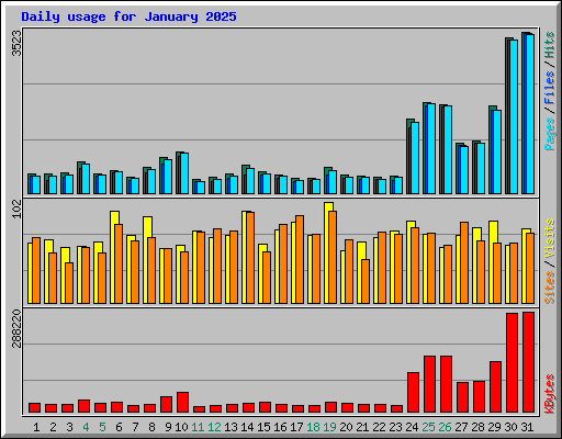 Daily usage for January 2025