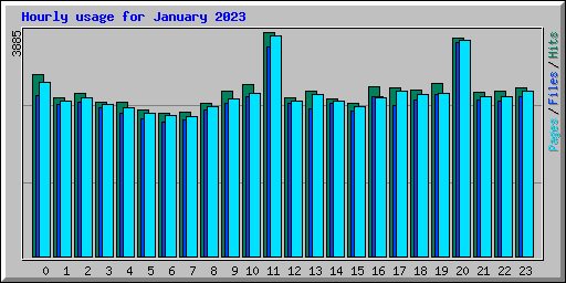 Hourly usage for January 2023