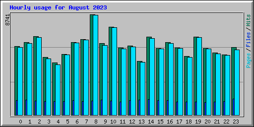 Hourly usage for August 2023