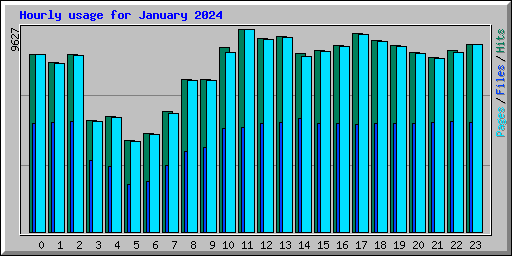 Hourly usage for January 2024