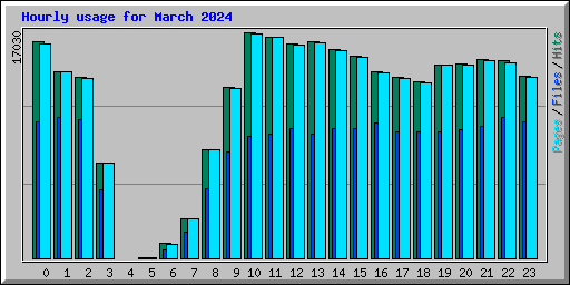 Hourly usage for March 2024