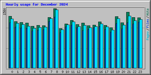Hourly usage for December 2024