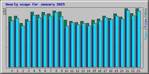 Hourly usage for January 2025