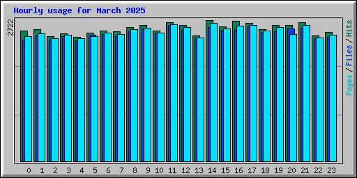 Hourly usage for March 2025