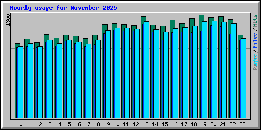 Hourly usage for November 2025