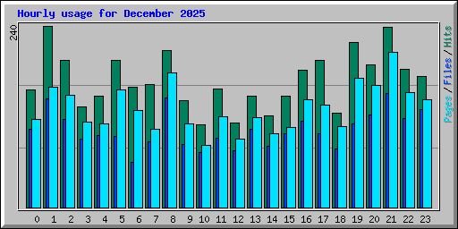 Hourly usage for December 2025
